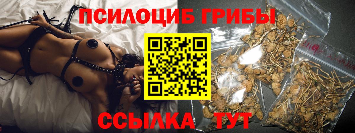 Галлюциногенные грибы Psilocybine cubensis  Вход с VPN  Ливны  где купить наркоту  Галлюциногенные грибы прущие грибы 